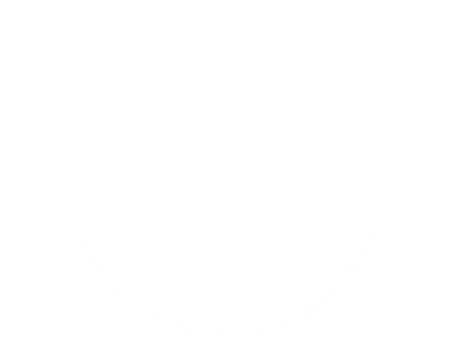 20 paloma dorigan